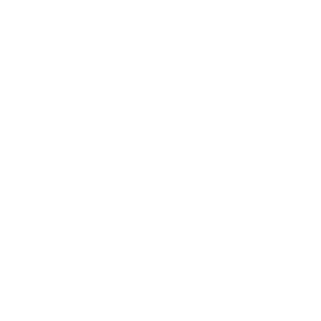 White tulip logo